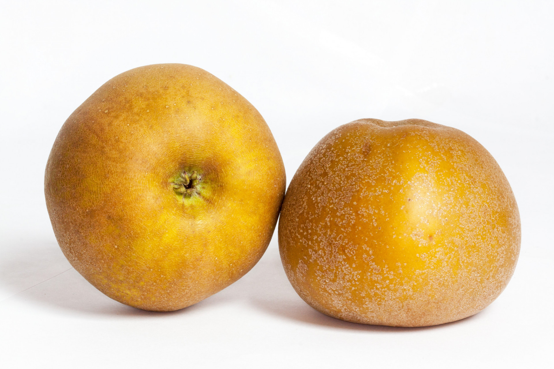 Pomme Kissabel