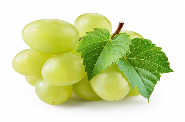 Raisin blanc sans pépin