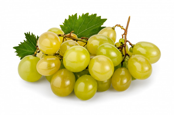 Raisin Blanc Italia
