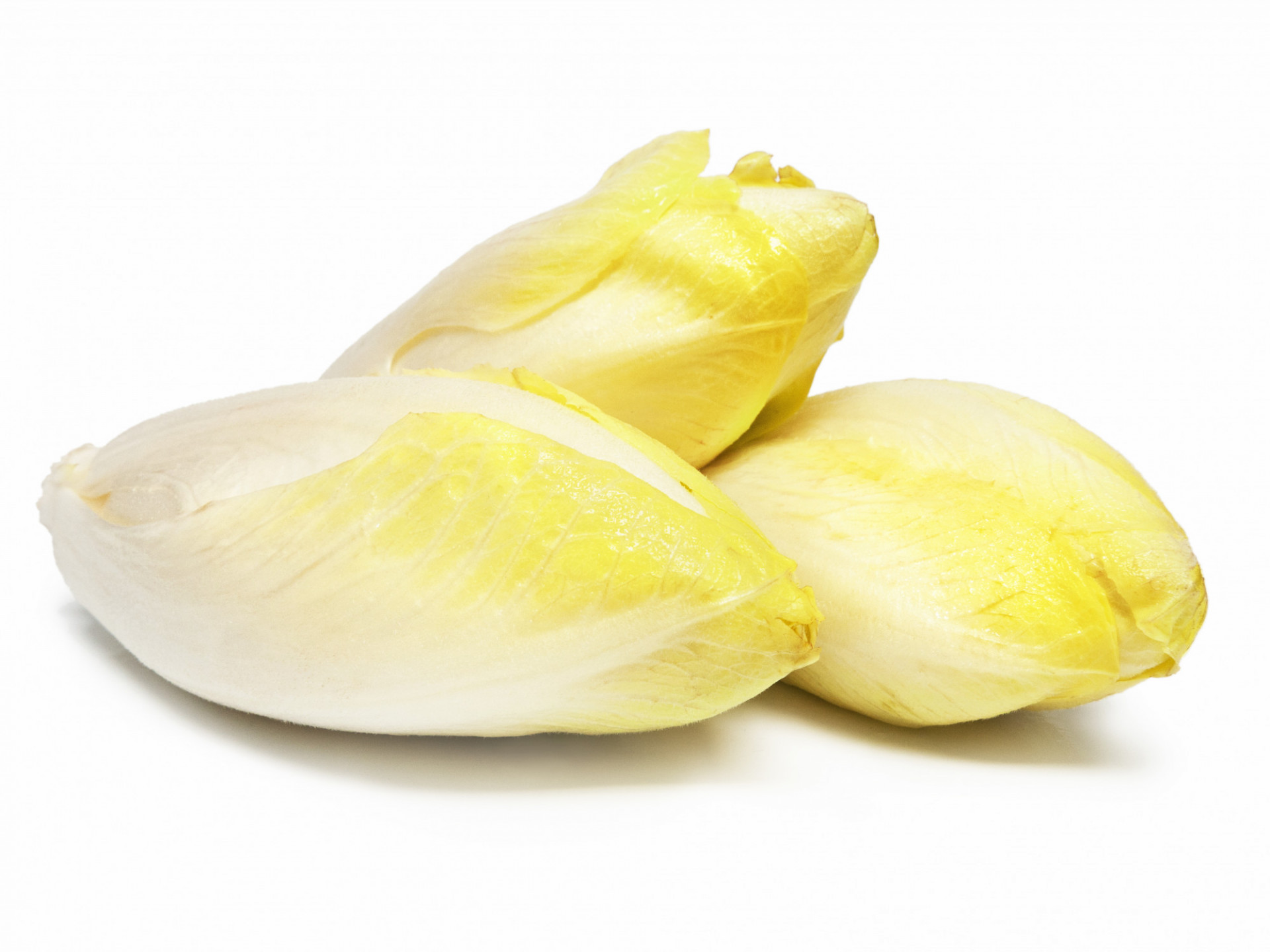 Endive