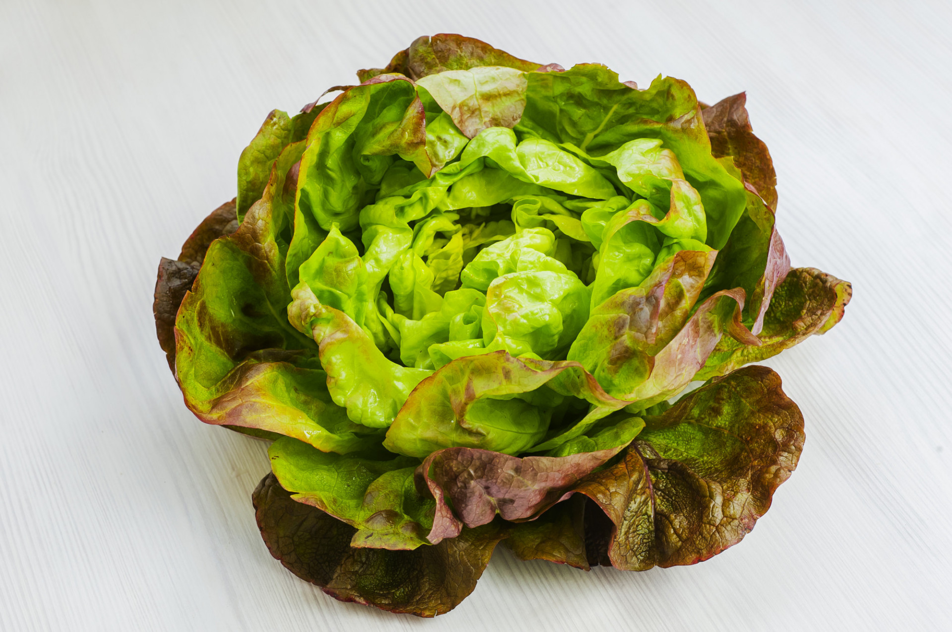 Salade Laitue