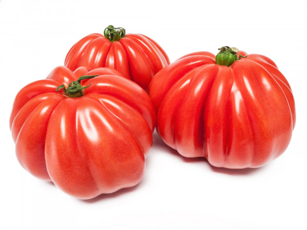Tomate ancienne coeur de boeuf