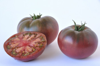 Tomates