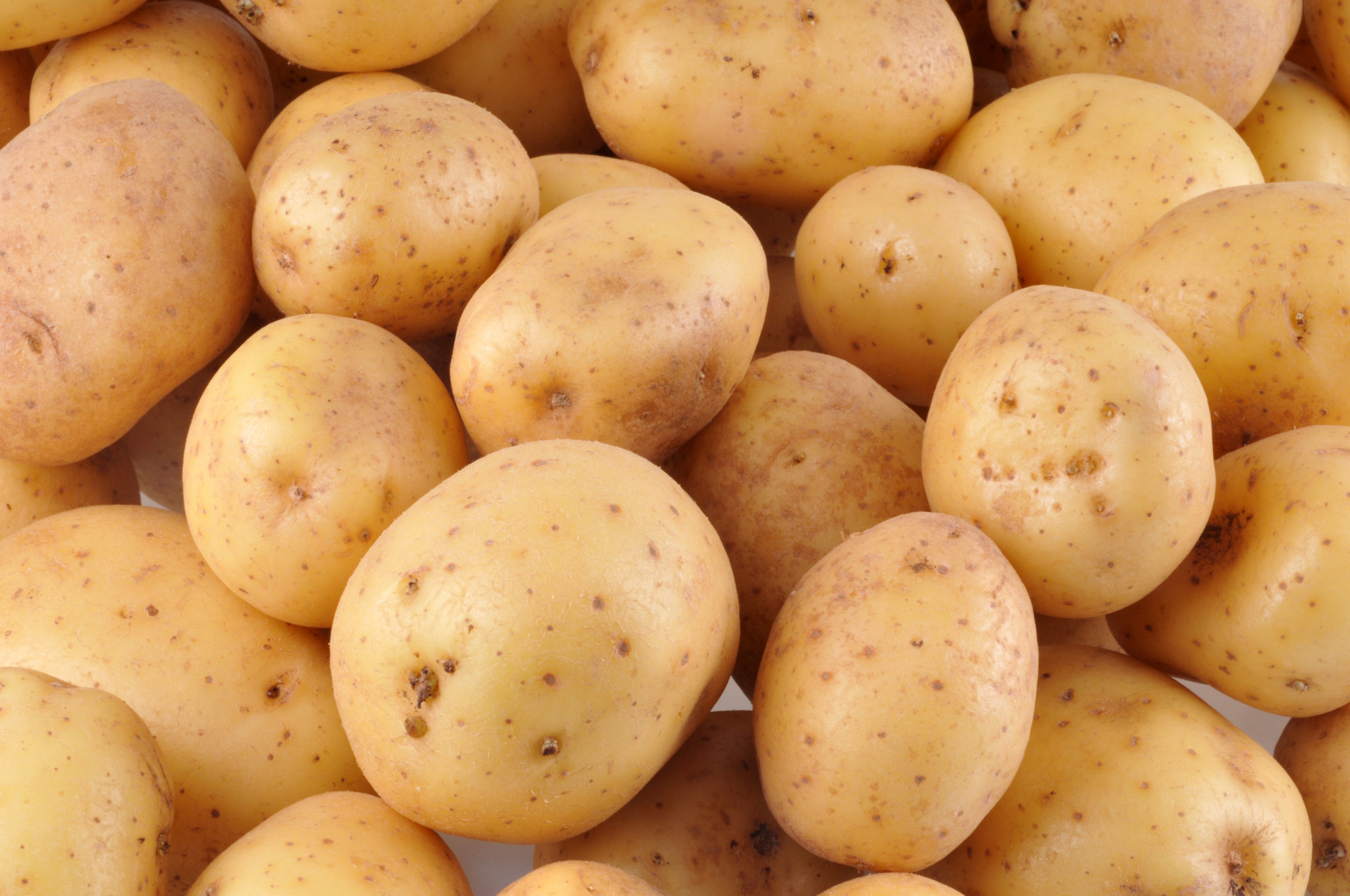 Pomme de Terre Four/Purée