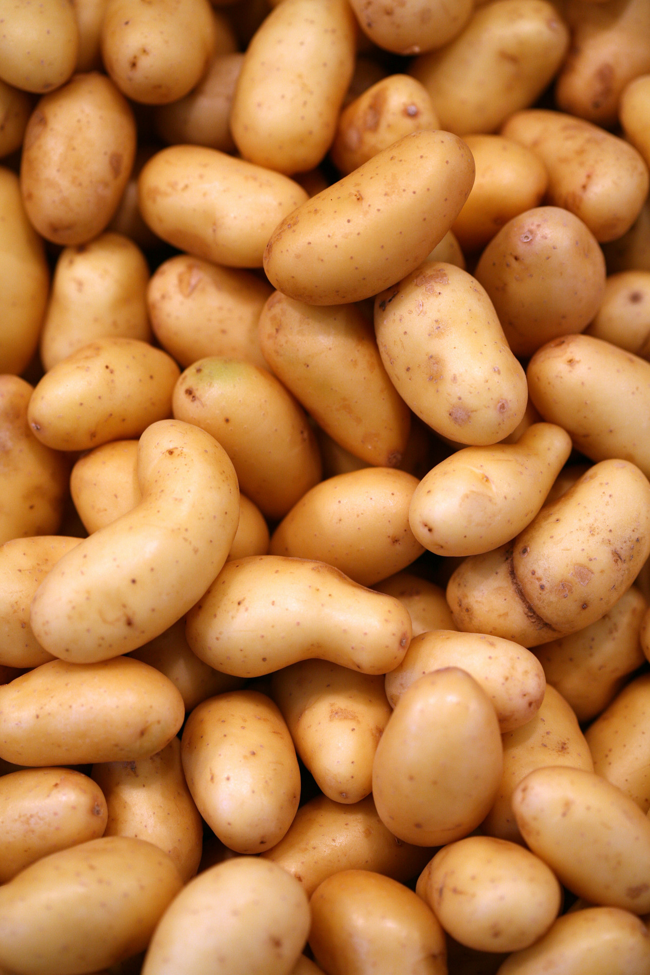 Pomme de Terre Grenaille
